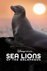 sea-lions-of-the-galapagos