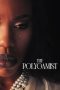 the-polygamist