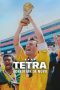 usa-94-brazils-return-to-glory